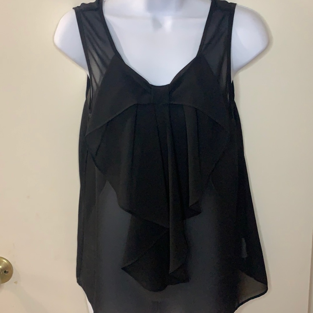 Sleek and Sexy Sheer Top
